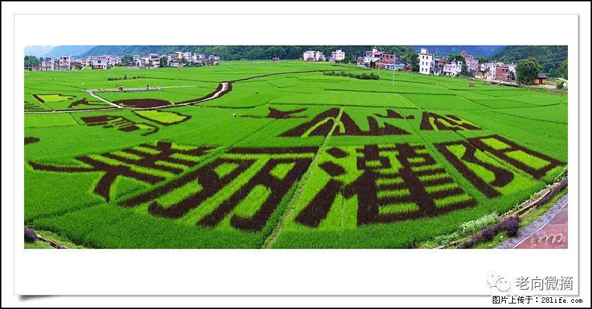 【春天，广西桂林灌阳县向您发出邀请！】开篇 - 游山玩水 - 和田生活社区 - 和田28生活网 ht.28life.com