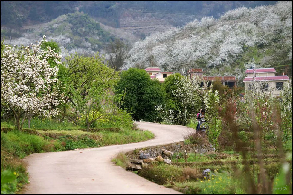 【春天,广西桂林灌阳县向您发出邀请!】我们在灌阳看梨花 - 游山玩水 - 和田生活社区 - 和田28生活网 ht.28life.com