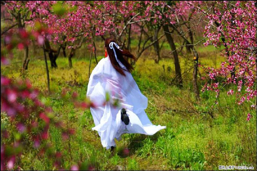 【春天，广西桂林灌阳县向您发出邀请！】官庄村有个醉美的桃花园 - 游山玩水 - 和田生活社区 - 和田28生活网 ht.28life.com