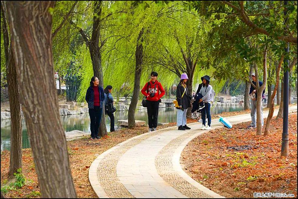 【春天，广西桂林灌阳县向您发出邀请！】江口老街又逢春 - 游山玩水 - 和田生活社区 - 和田28生活网 ht.28life.com