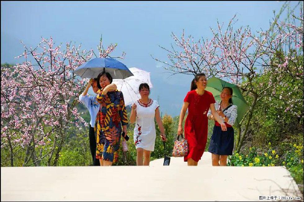 【春天,广西桂林灌阳县向您发出邀请!】望月岭上桃花开 - 游山玩水 - 和田生活社区 - 和田28生活网 ht.28life.com