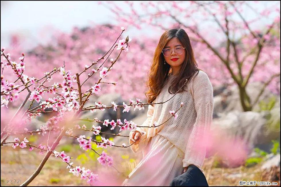 【春天,广西桂林灌阳县向您发出邀请!】望月岭上桃花开 - 游山玩水 - 和田生活社区 - 和田28生活网 ht.28life.com