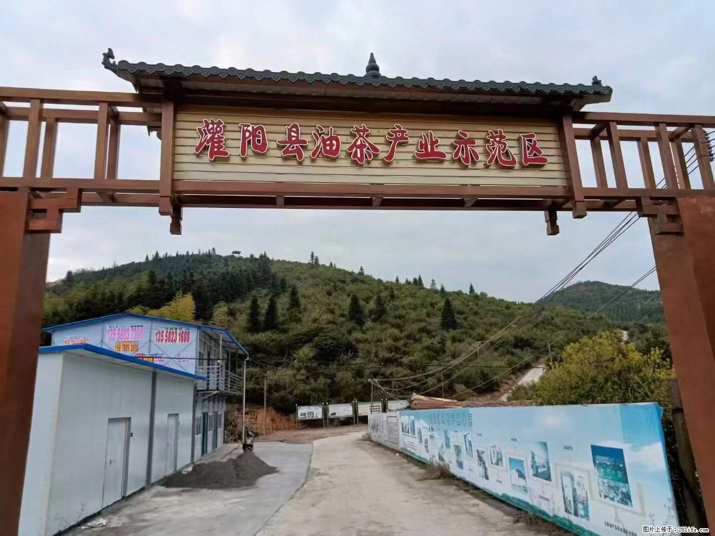 【灌阳县油茶产业示范区】一个有着充实的精神生活的人,对待身外之物自会有一种淡泊的态度 - 美食天地 - 和田生活社区 - 和田28生活网 ht.28life.com