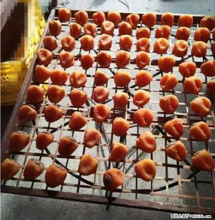 广西桂林平乐桥亭【柿饼之乡】2025年纯手工制作、无任何添加剂的第一批柿饼准备上市了，欢迎联系订购！ - 和田28生活网 ht.28life.com