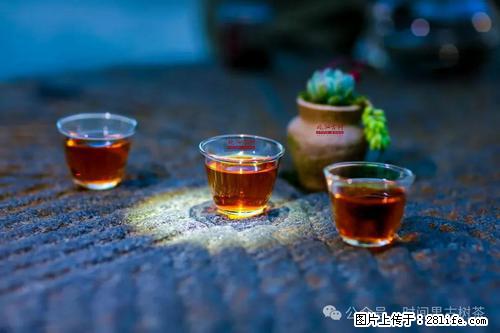 时间果百年古树2025年春红茶 - 购物交流 - 和田生活社区 - 和田28生活网 ht.28life.com