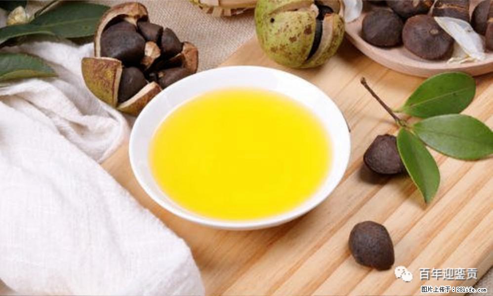 揭秘茶油的5大核心营养成分！被称为人体健康的“守护盾”！ - 和田生活资讯 - 和田28生活网 ht.28life.com