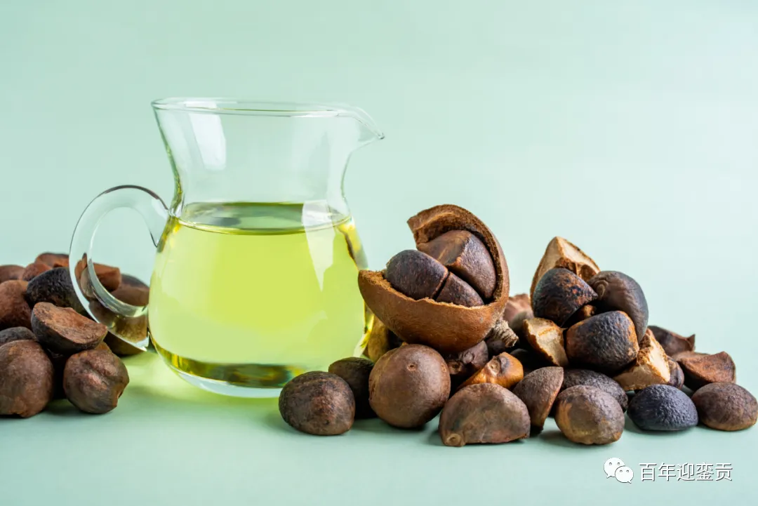 世界没有真相，只有认知，最好的食用油是中国的山茶油！ - 和田生活资讯 - 和田28生活网 ht.28life.com