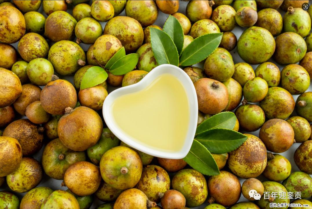 世界没有真相，只有认知，最好的食用油是中国的山茶油！ - 和田生活资讯 - 和田28生活网 ht.28life.com