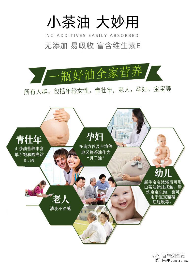 世界没有真相，只有认知，最好的食用油是中国的山茶油！ - 和田生活资讯 - 和田28生活网 ht.28life.com