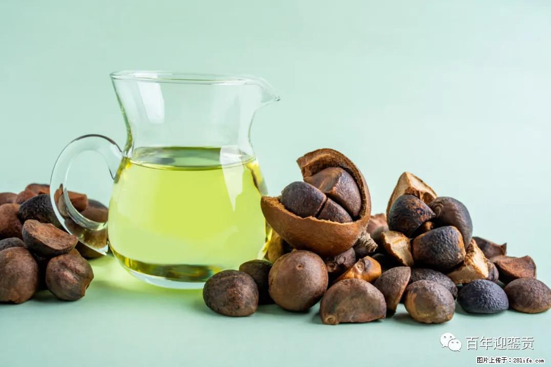 世界没有真相，只有认知，最好的食用油是中国的山茶油！ - 和田生活资讯 - 和田28生活网 ht.28life.com