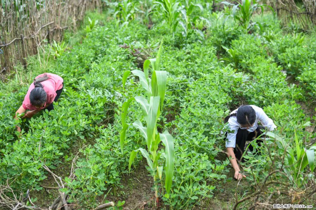全网追的“扁担女孩”，找了一份暑假工，时薪12元 - 和田生活资讯 - 和田28生活网 ht.28life.com