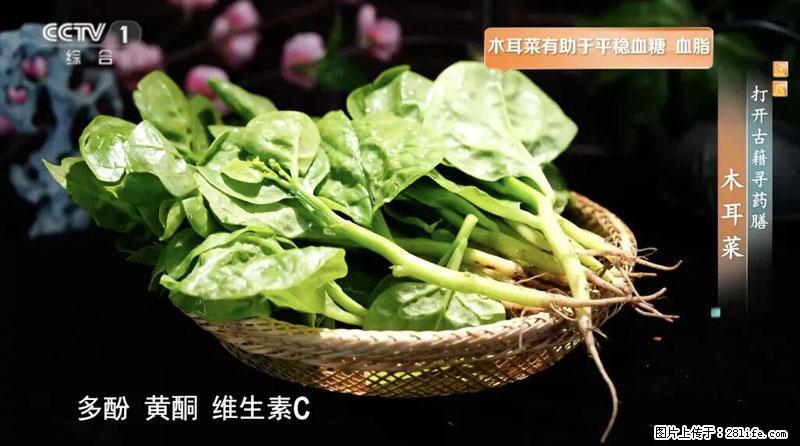 比牛奶补钙还厉害!凉血解毒、稳血糖...这菜冬天必吃,很多人却当草 - 和田生活资讯 - 和田28生活网 ht.28life.com