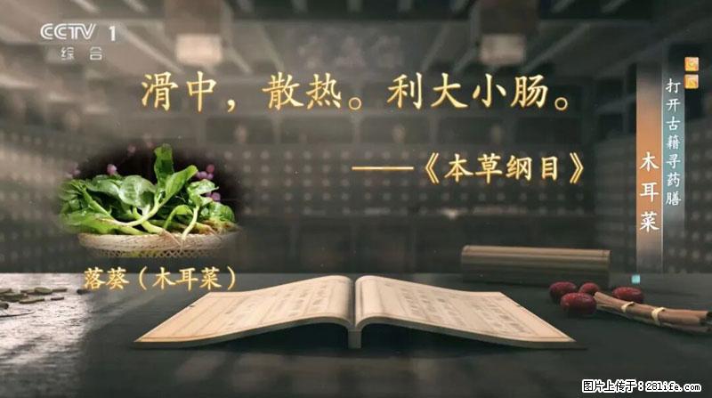 比牛奶补钙还厉害!凉血解毒、稳血糖...这菜冬天必吃,很多人却当草 - 和田生活资讯 - 和田28生活网 ht.28life.com