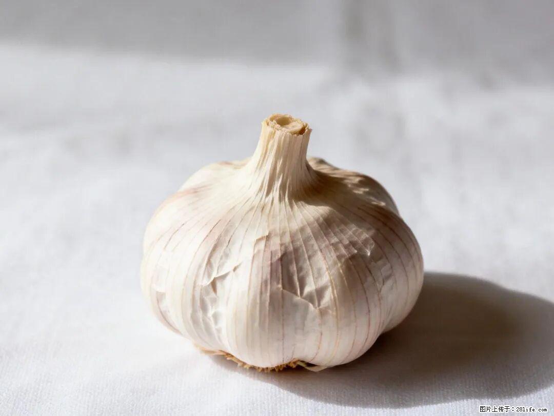 关于大蒜，除了“天然抗生素”，这4个谣言更该警惕! - 和田生活资讯 - 和田28生活网 ht.28life.com