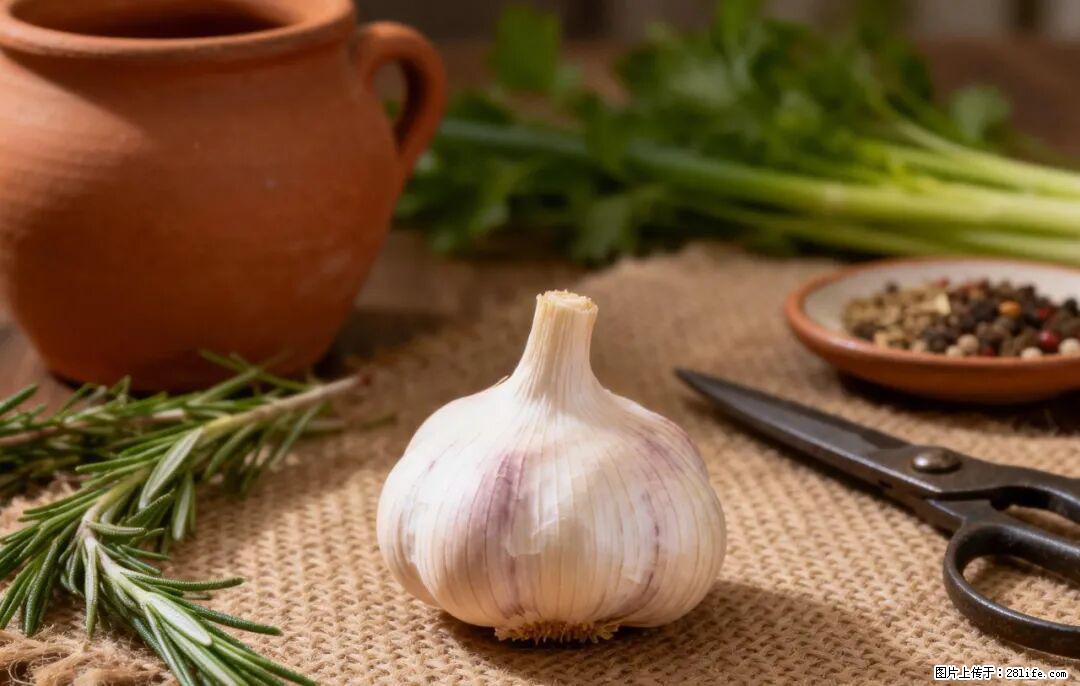 关于大蒜，除了“天然抗生素”，这4个谣言更该警惕! - 和田生活资讯 - 和田28生活网 ht.28life.com