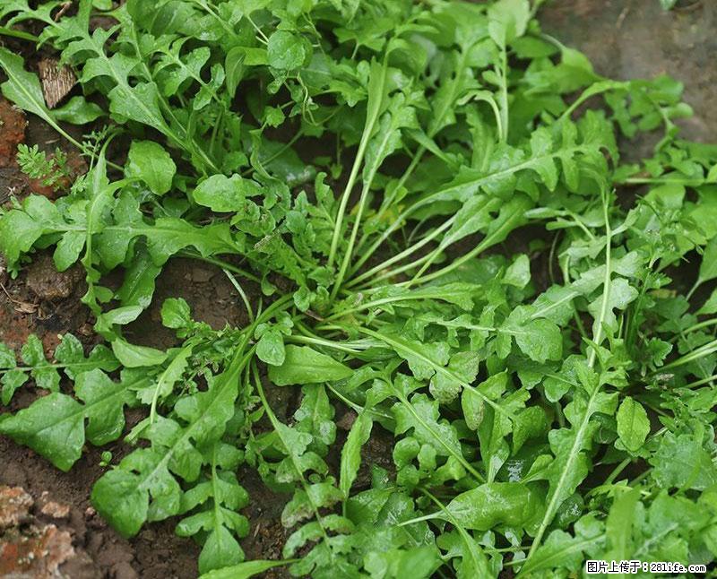 这些蔬菜是“天然钙片”，这6种被医生重点推荐 - 和田生活资讯 - 和田28生活网 ht.28life.com