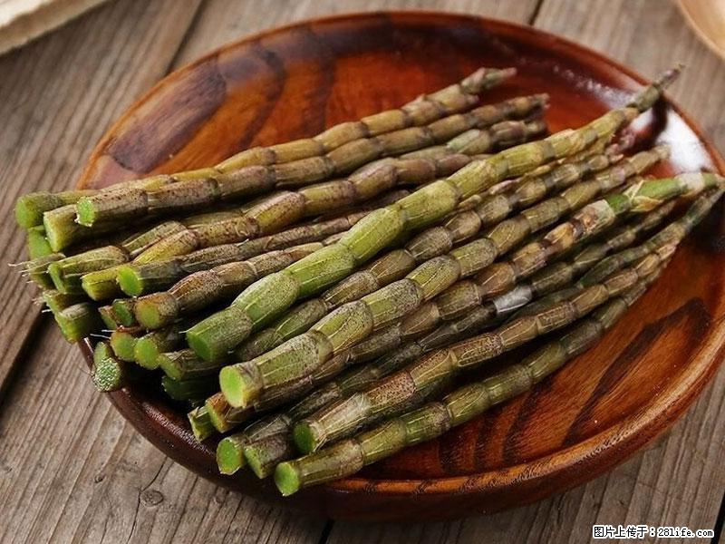 铁皮石斛的作用与功能主治 - 和田生活资讯 - 和田28生活网 ht.28life.com