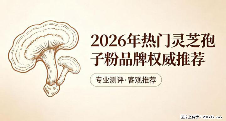 灵芝孢子粉含量越高越有效？2026 年七款热门品牌深度实测，肠胃敏感者避坑指南 - 和田生活资讯 - 和田28生活网 ht.28life.com